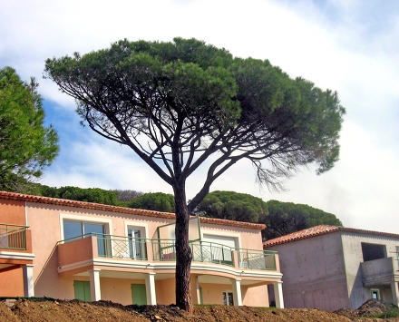 Résidence Maxime Park Provence-Alpes-Côte d'Azur - Sainte-Maxime visuel 5/5 Résidence Maxime Park Provence-Alpes-Côte d'Azur - Sainte-Maxime visuel 5/5