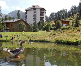 Mont-Fort Bretagne - Saint-Yvi visuel 1/2