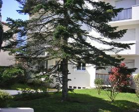 Résidence Moulin des Gardes Poitou-Charentes - Royan visuel 1/6