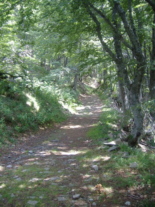 Multi Résidences Super Lioran Auvergne - Le Lioran visuel 2/7