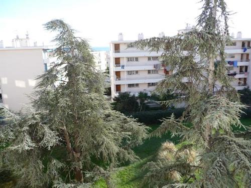 Résidence Orangeraie Provence-Alpes-Côte d'Azur - Nice visuel 4/10