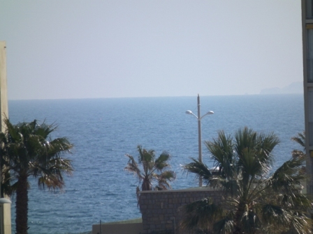 Résidence Ormarine Provence-Alpes-Côte d'Azur - Le Lavandou visuel 1/9