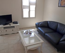 Papillon Provence-Alpes-Côte d'Azur - Saint-Rémy-de-Provence visuel 7/10 Papillon Provence-Alpes-Côte d'Azur - Saint-Rémy-de-Provence visuel 7/10