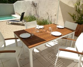 Papillon Provence-Alpes-Côte d'Azur - Saint-Rémy-de-Provence visuel 5/10 Papillon Provence-Alpes-Côte d'Azur - Saint-Rémy-de-Provence visuel 5/10