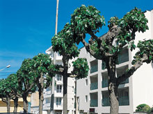 Résidence Pierre & Vacances la Baie des Sables Pays de Loire - Les Sables-d'Olonne visuel 2/9 Résidence Pierre & Vacances la Baie des Sables Pays de Loire - Les Sables-d'Olonne visuel 2/9