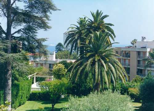 Résidence Pierre & Vacances Les Palmiers Provence-Alpes-Côte d'Azur - Nice visuel 6/10