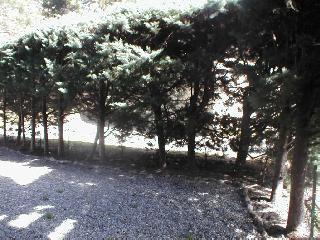 Résidence Plein Ciel Provence-Alpes-Côte d'Azur - Embrun visuel 7/15