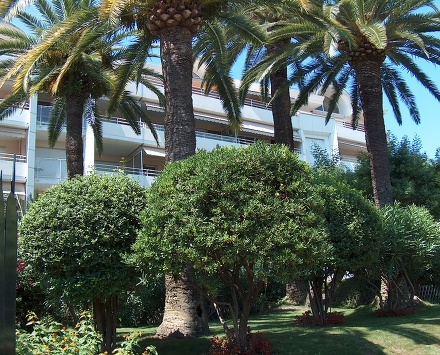 Résidence Riviera Park Provence-Alpes-Côte d'Azur - Cannes visuel 4/4 Résidence Riviera Park Provence-Alpes-Côte d'Azur - Cannes visuel 4/4