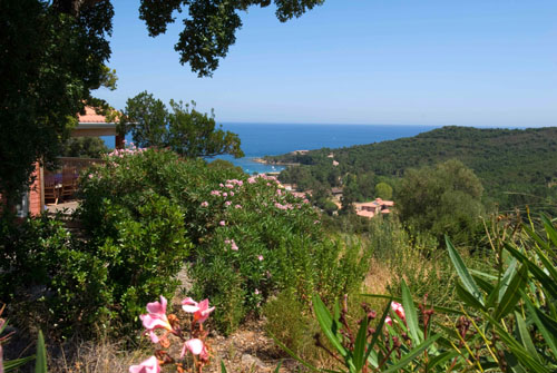 Résidence SerenAmore Corse - Favone visuel 3/5