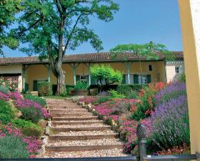 Tartifume Aquitaine - Eymet visuel 2/10