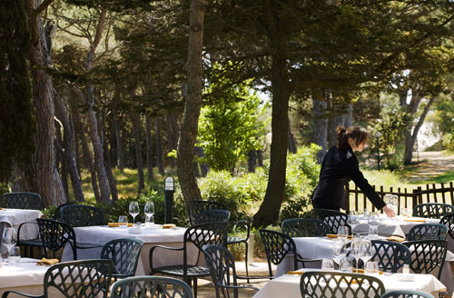 Tenuta delle Ripalte Toscane - Capoliveri visuel 4/8