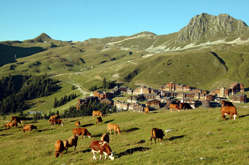 Résidence Thémis Rhône-Alpes - La Plagne visuel 3/12