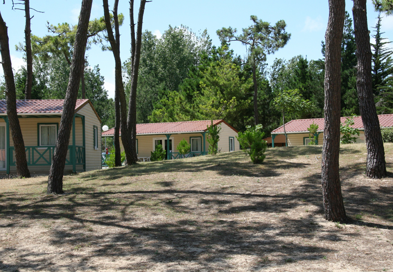 Village Atlantique Vacances Pays de Loire - Saint-Hilaire-de-Riez visuel 5/8 Village Atlantique Vacances Pays de Loire - Saint-Hilaire-de-Riez visuel 5/8