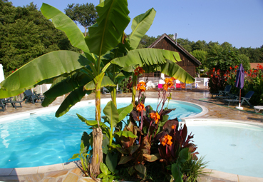 Village de gîtes et chalets Gites et Soleil Aquitaine - Léon visuel 1/10 Village de gîtes et chalets Gites et Soleil Aquitaine - Léon visuel 1/10