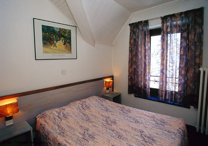 Village de vacances La Forêt des Tines Rhône-Alpes - Chamonix-Mont-Blanc visuel 2/6