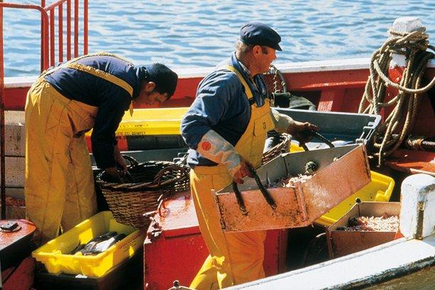 Village de Vacances Les Grenats Bretagne - Groix visuel 1/20 Village de Vacances Les Grenats Bretagne - Groix visuel 1/20