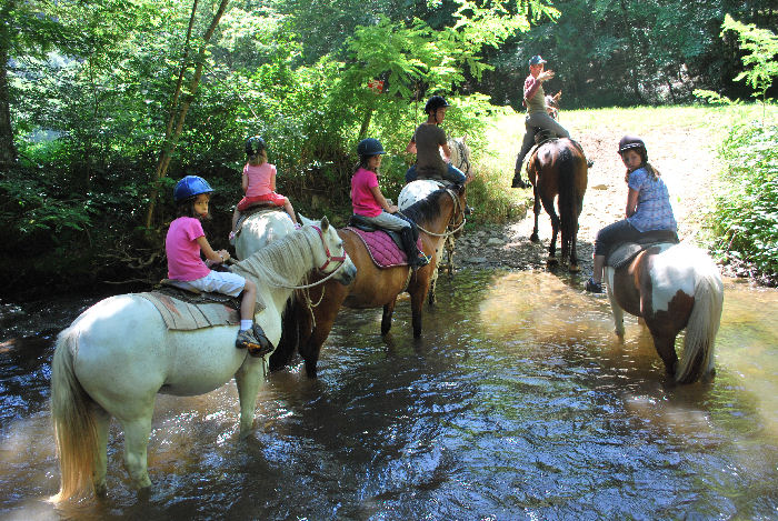 Village Vacances Grand Vabre Aventures et Nature Midi-Pyrénées - Grand-Vabre visuel 6/10