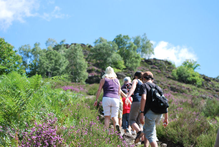 Village Vacances Grand Vabre Aventures et Nature Midi-Pyrénées - Grand-Vabre visuel 3/10
