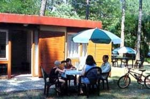 Village Vacances les Villages sous les Pins Aquitaine - Moliets-et-Maa visuel 7/10 Village Vacances les Villages sous les Pins Aquitaine - Moliets-et-Maa visuel 7/10