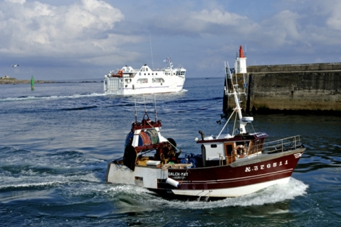 Village Vacances VVF Belle Ile en Mer Bretagne - Belle-Île-en-Mer visuel 13/21 Village Vacances VVF Belle Ile en Mer Bretagne - Belle-Île-en-Mer visuel 13/21