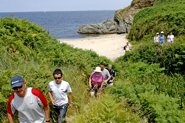 Village Vacances VVF Belle Ile en Mer Bretagne - Belle-Île-en-Mer visuel 7/21 Village Vacances VVF Belle Ile en Mer Bretagne - Belle-Île-en-Mer visuel 7/21