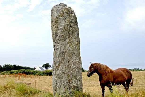 Village Vacances VVF Belle Ile en Mer Bretagne - Belle-Île-en-Mer visuel 2/21 Village Vacances VVF Belle Ile en Mer Bretagne - Belle-Île-en-Mer visuel 2/21