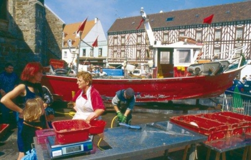 Village Vacances VVF Blériot-Plage Nord-Pas de Calais - Sangatte visuel 4/10