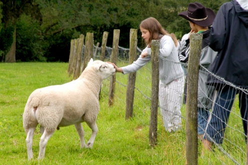Village Vacances VVF Forges-les-Eaux Haute-Normandie - Forges-les-Eaux visuel 9/11 Village Vacances VVF Forges-les-Eaux Haute-Normandie - Forges-les-Eaux visuel 9/11