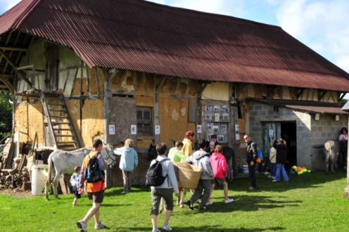 Village Vacances VVF Forges-les-Eaux Haute-Normandie - Forges-les-Eaux visuel 4/11 Village Vacances VVF Forges-les-Eaux Haute-Normandie - Forges-les-Eaux visuel 4/11