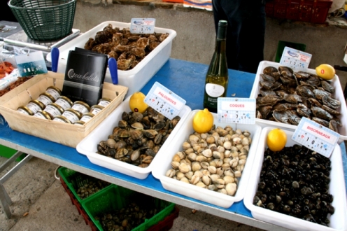 Village Vacances VVF Ile de Groix Bretagne - Groix visuel 9/10 Village Vacances VVF Ile de Groix Bretagne - Groix visuel 9/10