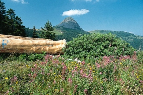 Village Vacances VVF les Estables Auvergne - Les Estables visuel 8/19 Village Vacances VVF les Estables Auvergne - Les Estables visuel 8/19