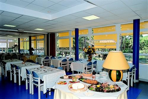 Village Vacances VVF Noirmoutiers-Barbâtre Pays de Loire - Barbâtre visuel 7/10 Village Vacances VVF Noirmoutiers-Barbâtre Pays de Loire - Barbâtre visuel 7/10