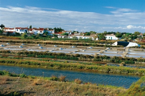 Village Vacances VVF Noirmoutiers-Barbâtre Pays de Loire - Barbâtre visuel 3/10 Village Vacances VVF Noirmoutiers-Barbâtre Pays de Loire - Barbâtre visuel 3/10