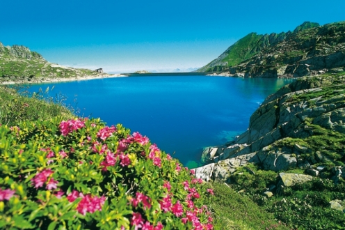 Village Vacances VVF Prapoutel les Sept-Laux Rhône-Alpes - Les 7-Laux visuel 8/19 Village Vacances VVF Prapoutel les Sept-Laux Rhône-Alpes - Les 7-Laux visuel 8/19