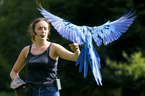 Village Vacances VVF Rochefort-en-Terre Bretagne - Rochefort-en-Terre visuel 8/10 Village Vacances VVF Rochefort-en-Terre Bretagne - Rochefort-en-Terre visuel 8/10