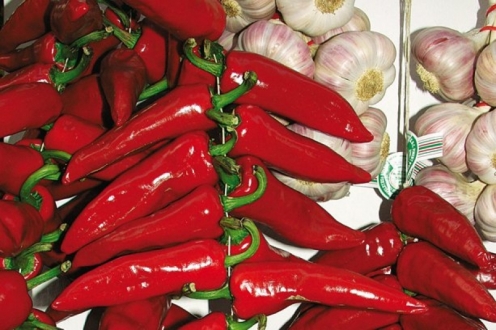 Village Vacances VVF Sare Aquitaine - Sare visuel 6/11 Village Vacances VVF Sare Aquitaine - Sare visuel 6/11