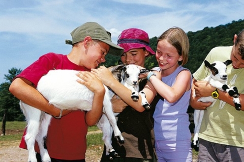 Village Vacances VVF St Léger les Mélèzes Provence-Alpes-Côte d'Azur - Orcières 1850 visuel 6/20