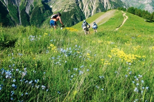 Village Vacances VVF St Léger les Mélèzes Provence-Alpes-Côte d'Azur - Orcières 1850 visuel 4/20