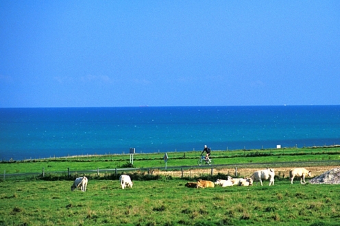 Village Vacances VVF Veules-les-Roses Haute-Normandie - Veules-les-Roses visuel 6/10 Village Vacances VVF Veules-les-Roses Haute-Normandie - Veules-les-Roses visuel 6/10