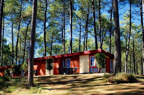 Villages sous les pins / les Arbousiers Aquitaine - Léon visuel 3/10 Villages sous les pins / les Arbousiers Aquitaine - Léon visuel 3/10