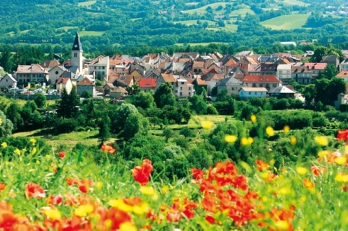 Villages Vacances VVF Saint-Bonnet-en-Champsaur Provence-Alpes-Côte d'Azur - Saint-Bonnet-en-Champsaur visuel 6/28 Villages Vacances VVF Saint-Bonnet-en-Champsaur Provence-Alpes-Côte d'Azur - Saint-Bonnet-en-Champsaur visuel 6/28