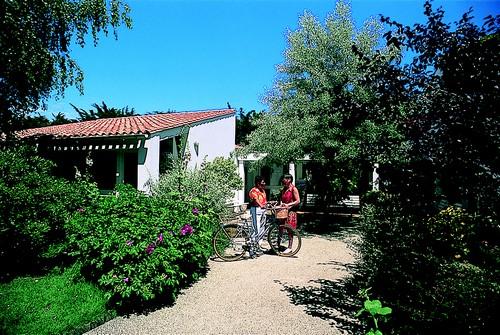 VVF Village Ars-en-Ré Poitou-Charentes - Ars-en-Ré visuel 5/18 VVF Village Ars-en-Ré Poitou-Charentes - Ars-en-Ré visuel 5/18
