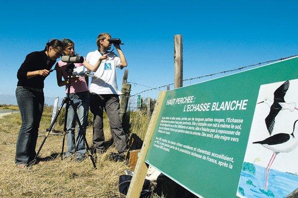 VVF Village Ars-en-Ré Poitou-Charentes - Ars-en-Ré visuel 13/18 VVF Village Ars-en-Ré Poitou-Charentes - Ars-en-Ré visuel 13/18