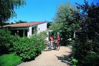 VVF Village Ars-en-Ré Poitou-Charentes - Ars-en-Ré visuel 2/18 VVF Village Ars-en-Ré Poitou-Charentes - Ars-en-Ré visuel 2/18