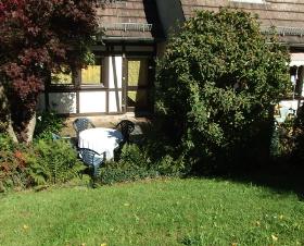 Résidences des Chataigniers  Alsace - Lembach visuel 3/7 Résidences des Chataigniers  Alsace - Lembach visuel 3/7