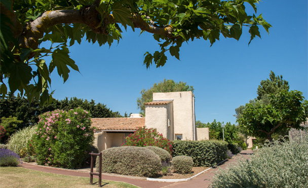 Location de vacances - Le Cap d'Agde - Languedoc-Roussillon - Belambra Club Les Lauriers Roses - Image #8