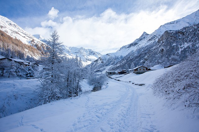 Résidence L'Alliet - Peisey Vallandry