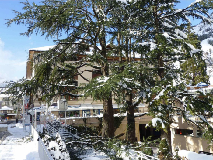 Résidence Le Grand Chalet - Rhône-Alpes - Brides-les-Bains - 379€/sem