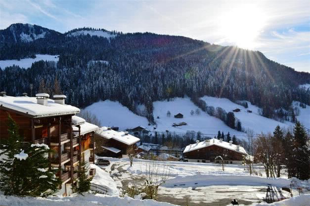 Résidence Le Millepertuis B - Le Grand-Bornand