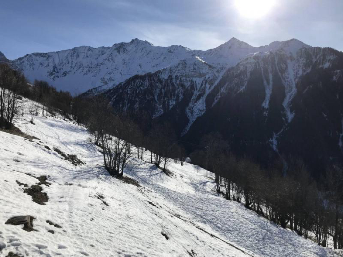 Résidence le Plein Sud - Peisey Vallandry